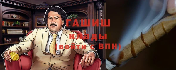 крисы Алексин