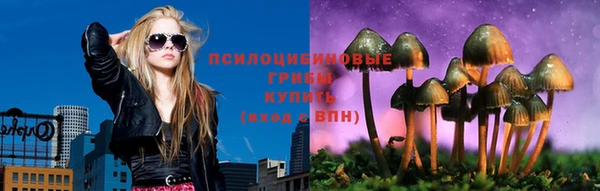 МДПВ Семёнов