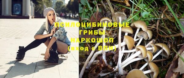 соль курить ск Алзамай