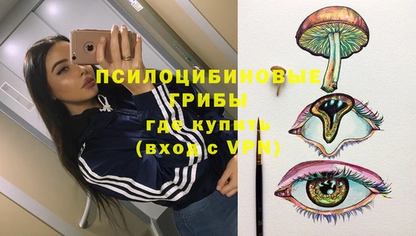 соль курить ск Алзамай